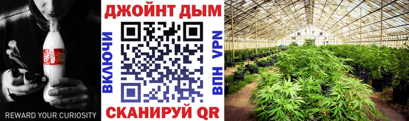 купить закладку  Киселёвск  Шишки марихуана VHQ 